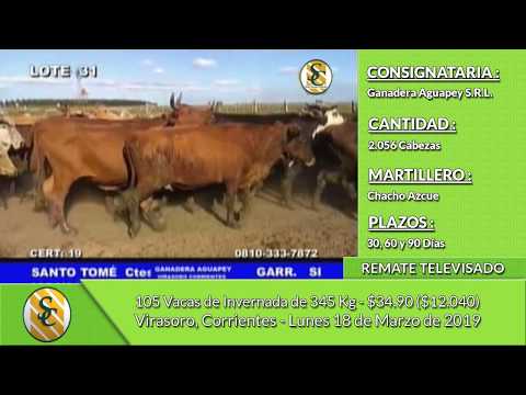 18-03-19 - Venta de Vientres - Remate Televisado de Ganadera Aguapey S.R.L. - Corrientes