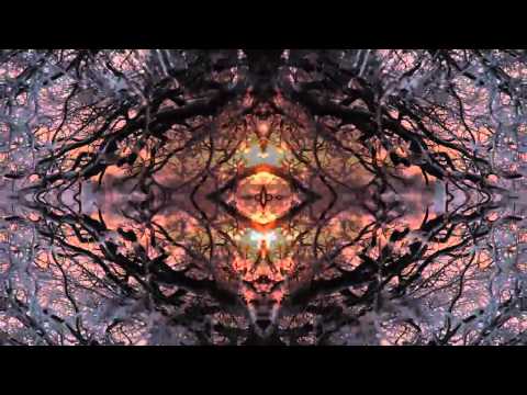 Tim Ballista - Thing Scape1