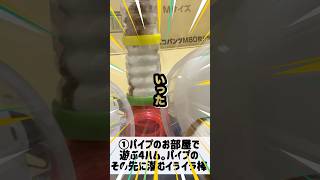【①パイプの先にあるものは】 #ゴールデンハムスター #ゴルハム #ハムスター #小動物 #パイプ #ホイールサークル #イライラ棒 #ひろゆき