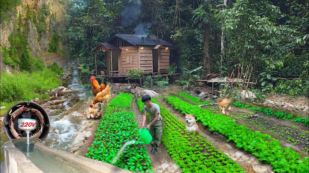 Build houses, fish ponds, gardens, hydroelectric, alone build life last for hundreds years in forest