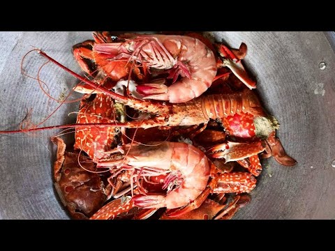 vlog443 - Jackpot sa unang paglalambat Part 2