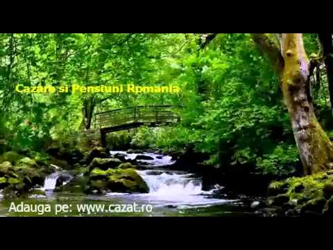 Cazare Poiana Sarata, Bacau - Cazat.ro