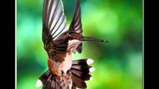 Espelho da Alma - Paramahansa Yogananda