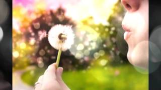 Séance TCI Claude François sur la demande d'un abonné