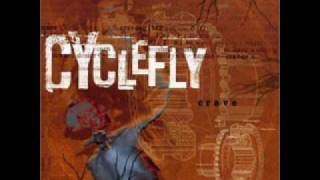 Cyclefly - Accidental Ornaments