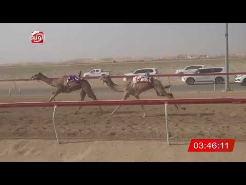   ش 3 (مذهل) لـ سعيد عبدالله محمد الرميثي 7:38 , شارة الديوان 3 2026/10/06 سويحان ايذاع  