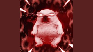 Cover art for PIBBLE WASH MY BELLY FUNK