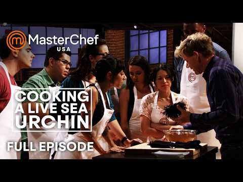 Cooking A Live Sea Urchin in MasterChef USA | S03 E11 | Full Episode | MasterChef World