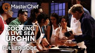 MasterChef USA