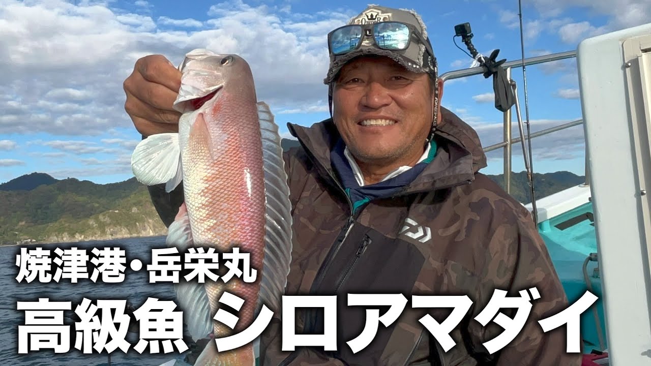 駿河湾でシロアマダイ釣りしたら最高の釣果だった！【焼津港・岳栄丸】※魚以外にも大物釣り上げた！