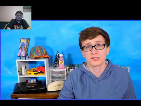 Nintendo DS Accessories - Scott The Woz REACT