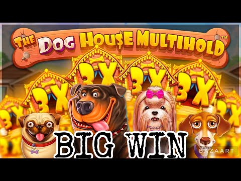 A preview of the bigwin titled THE DOG HOUSE MULTIHOLD BIG WIN
