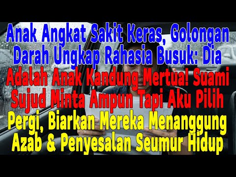 Geger! Tes DNA Membuktikan Anak Angkatku Ternyata Adik Kandung Suami & Aib Besar Mertua #keluarga