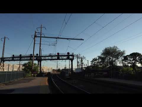 Zu Ninjaz Misbehavin video preview