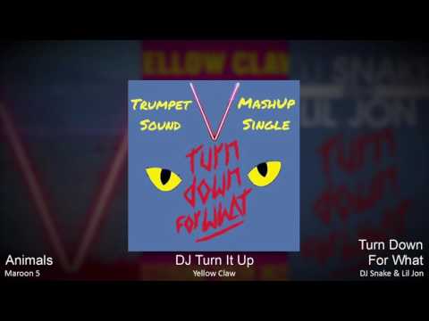 Maroon 5 VS Yellow Claw VS DJ Snake/Lil Jon - Animals VS DJ Turn It Up VS Turn Down For What MashUp