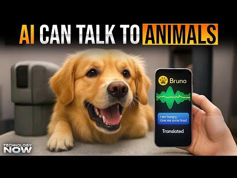 Talking to Animals Is Real Now — AI Just Decoded Their Emotions!