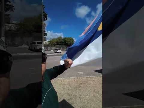 PERNAMBUCO TERRA DOS TUBARÕES #tubaraoteamo #tubarão #shortsyoutube #shorts #pernambucomeupaís