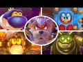 Super Mario 3D World All Bosses No Damage