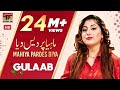 Gulaab Mahiya Pardes Diya Pakistani Punjabi Song TP Gold