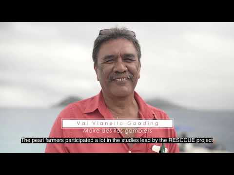 RESCCUE activity in French Polynesia: towards sustainable pearl farming