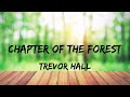 Trevor Hall - Chapter Of The Forest (Lyrics)