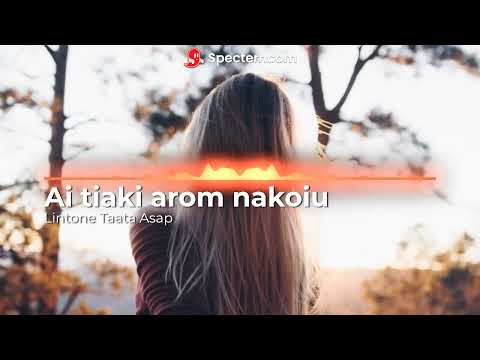 Ai tiaki arom   Lintone feat Taata & A$ap