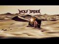 Wolf Spider - Hipertermia Video