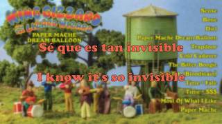 King Gizzard &amp; The Lizard Wizard - Sense (sub/lyrics)