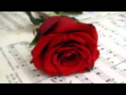 Marlene Kuntz feat Skin La Canzone che scrivo per Te