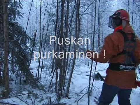 Metsolan Metsäkoulu 191 -Metsäopetusta 20 v sitten - Raivaussahatekniikkaa.