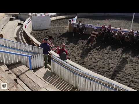 Tercera Serie Libre A Gran Final de Rodeo Criollo Costa Araucania 2025-2026