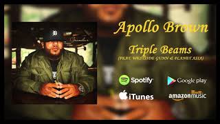 Apollo Brown - Triple Beams INSTRUMENTAL (HomeworkEdit)