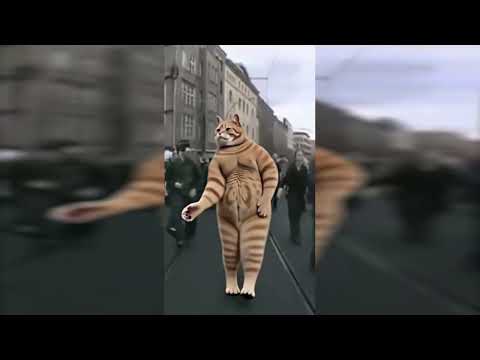 TechnoCat: Techno viking rare footage?