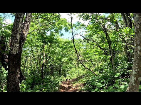 CONHEÇA O PERCURSO DA TRILHA ONDE 09 ADOLESCENTES SE PERDERAM EM RIO VERDE GO