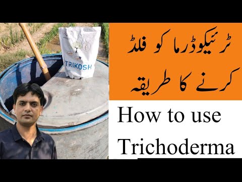 How to use Trichoderma in your field | Dr. Jamil Shafi | Plant Clinics