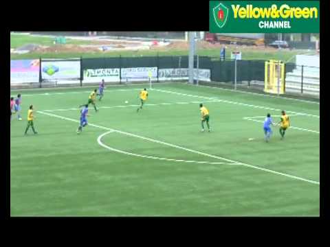 Colognese-Villafranca: la sintesi