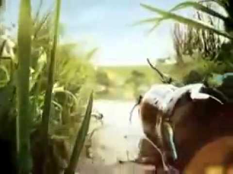 עבודת צוות – קוקה קולה