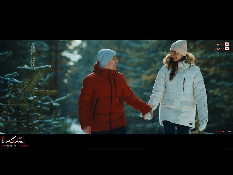 /2023-02-05/ A walk in the winter pine forest /Demo-Video/