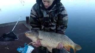 carpe de 9,5kg au feeder àLyon Gerland