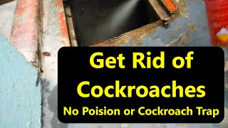 Get rid of cockroaches from kitchen & home permanently & naturally, No kill cockroaches or trap