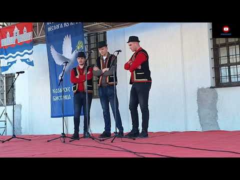 20 KOZARSKE POKLADE BISTRICA VERICI NASTUP OJKACKIH GRUPA 22 02 2026