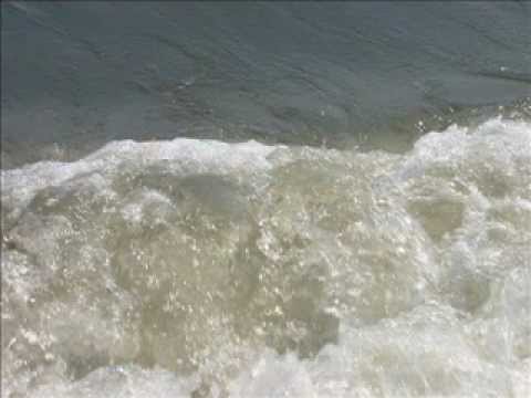OCEAN VOYAGE.wmv BY MATHIS THOMAS