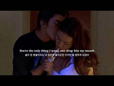 켈시 발레리니 & 레이니 | 내가 술을 끊은 이유 : Kelsea Ballerini & LANY - I Quit Drinking [가사해석]