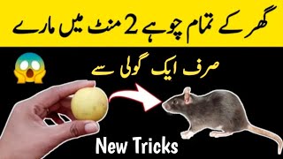 Quick rat killer| Rat killer trick | best kitchen & home tips and tricks by hadiya cooking and tips