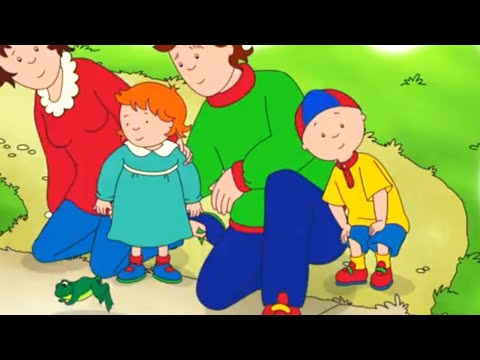 Caillou em Português | Caillou e a Família Salvam os Sapos | 509 | Nova Temporada | Desenho Animado