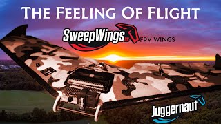 The Feeling of Flight / FPV Wings