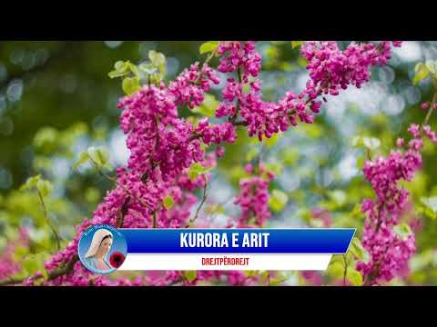 Kurora e Arit për falenderimet dhe njetet e dëgjuesve të Radio Marisë.