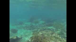 preview picture of video 'Snorkeling in Blue Lagoon, Padang Bay, Bali'