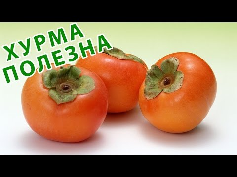 ЧЕМ ПОЛЕЗНА ХУРМА