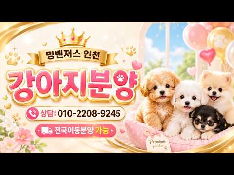 ???? 강아지분양 라이브 ???? 신입생이 또왔어요 ~~^^ …
